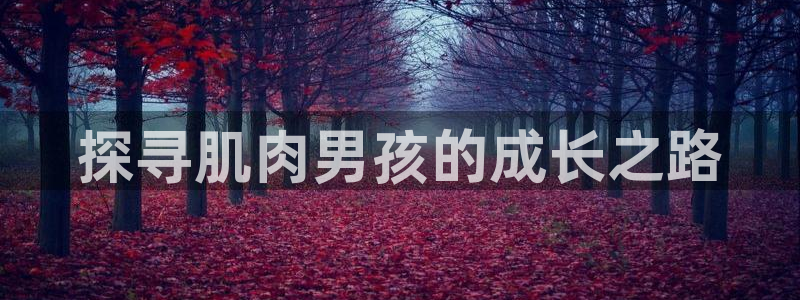 龙8国际平台官网