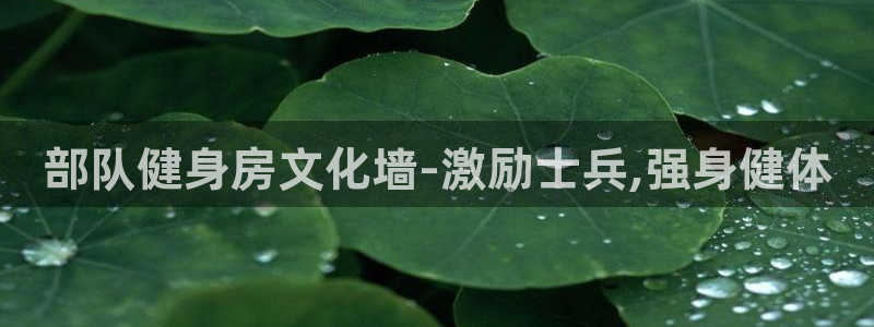 龙8国际电子平台