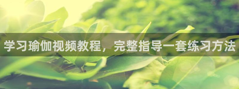 龙8国际会员注册