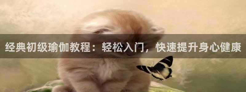 龙8国际的漏洞