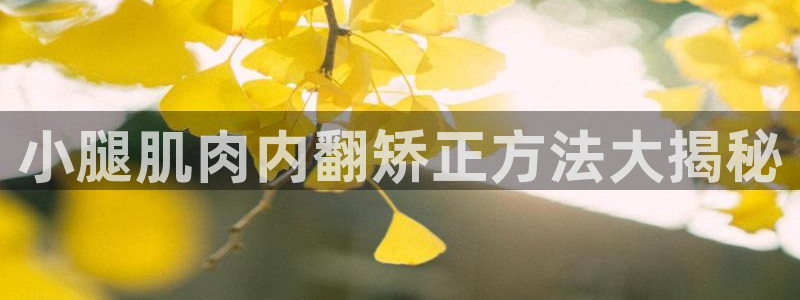 龙8国际官网app下载