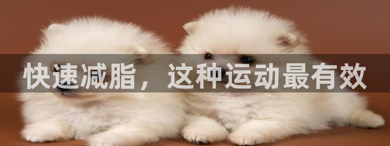龙8国际官方网