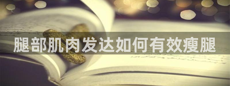 龙8国际手机版