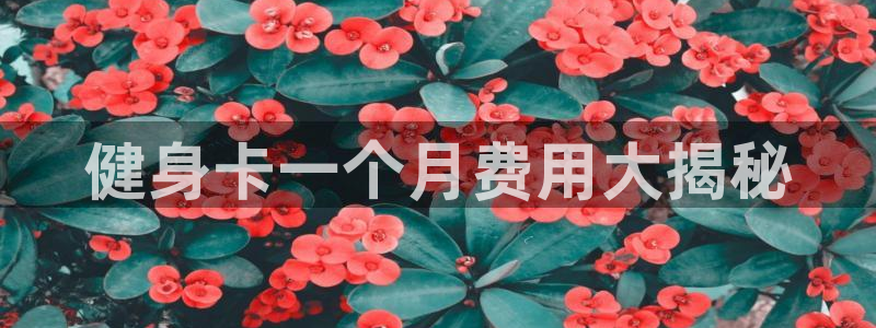 龙8-龙国际-long8-龙8游戏