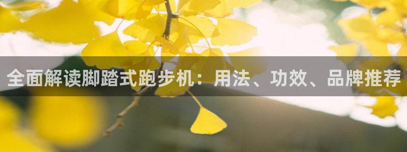 龙8国际的漏洞