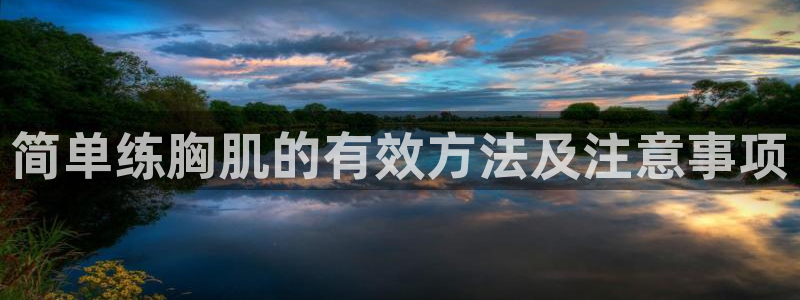 龙 八国际