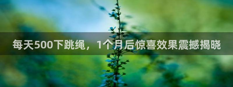 龙8app 国际