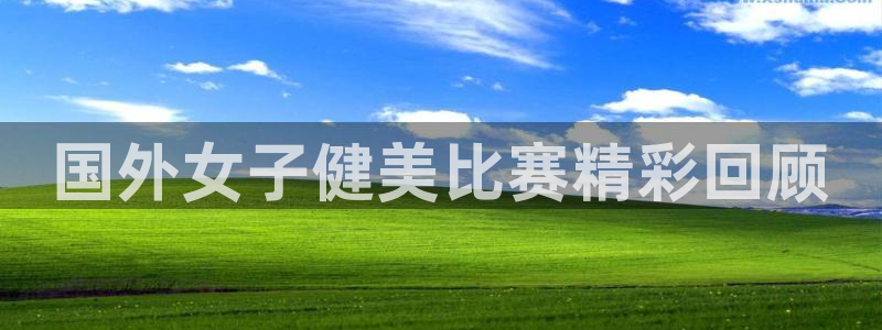 龙8国际官方网