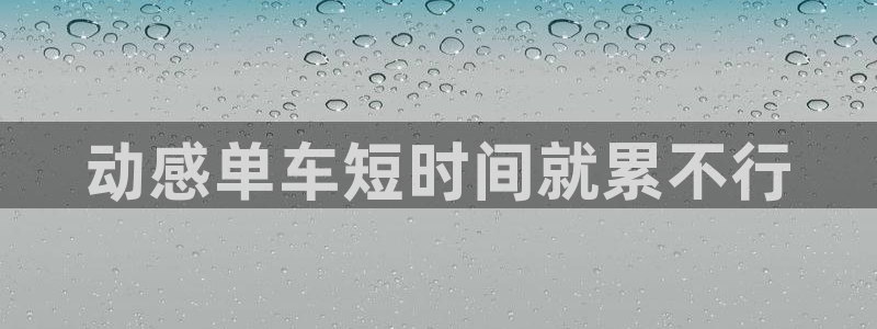 国际龙8官网pt客户端