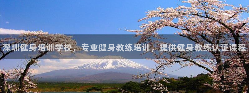 龙8游戏官方进入