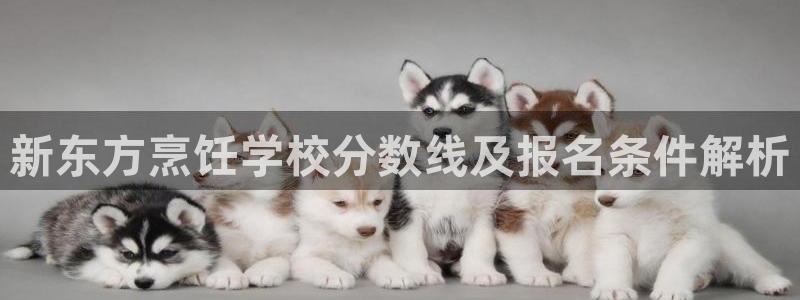 龙8游戏官网
