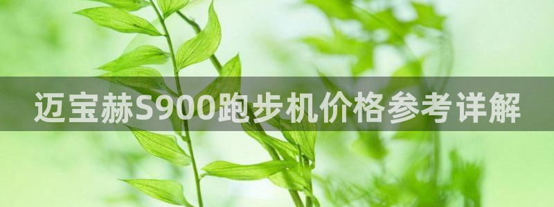龙8国际官网版最新版下载