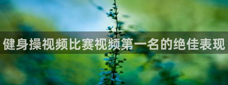 龙8国际手机网页版