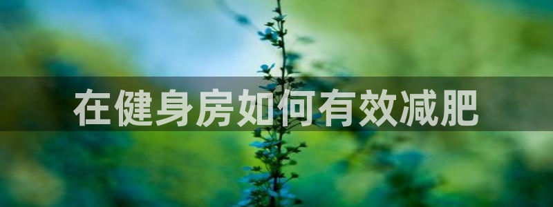 龙8国际头号玩家