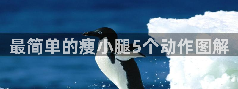 龙八国际pt
