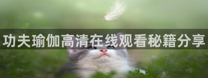 龙八国际pt