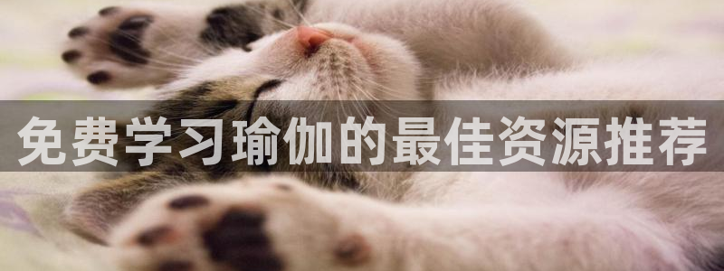龙八国际官网下载