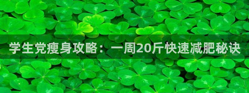 下载龙8国际