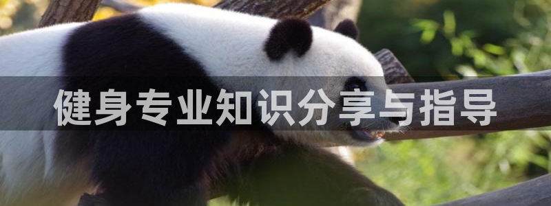 龙8国际首页