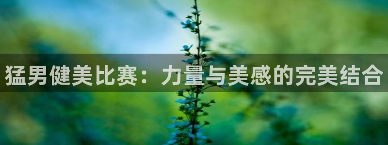 龙8国际是什么