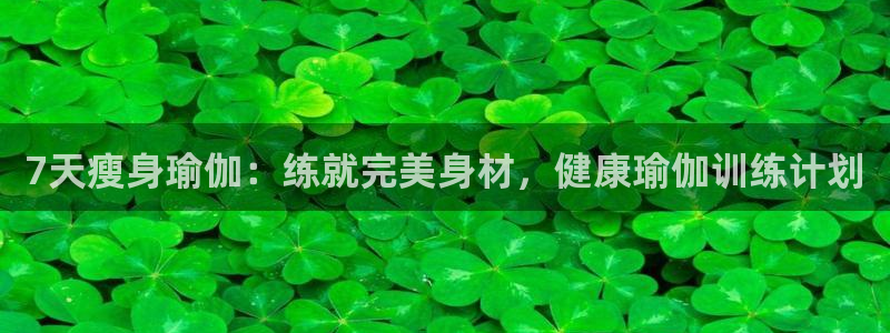 龙8国际.com