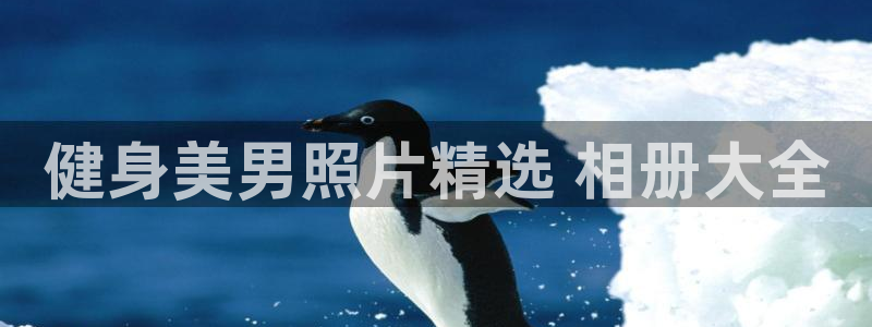 龙8国际头号玩家下载