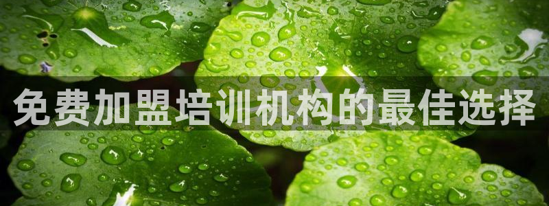 龙8国际线上