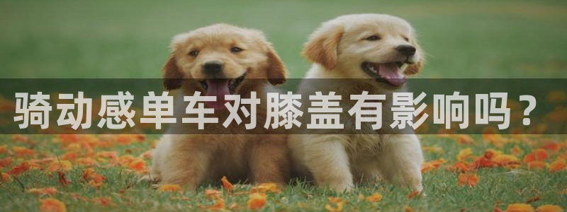 龙8国际龙8官方