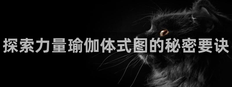 龙8国际网站怎么样