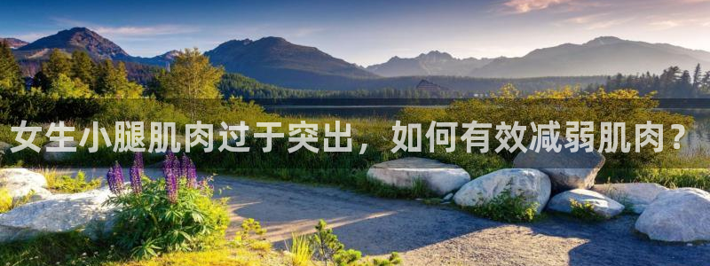 龙8国际手机版下载