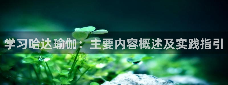 龙8国际棋牌