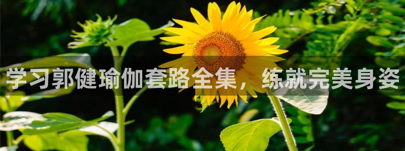 龙8国际头号玩家