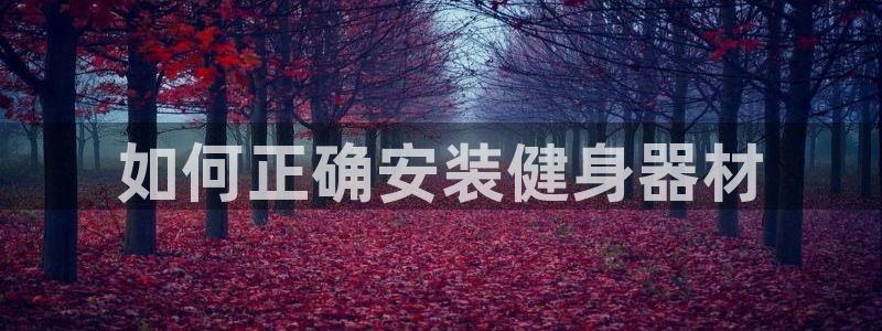 龙八国际pt