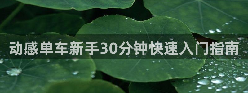 龙8国际唯一官网