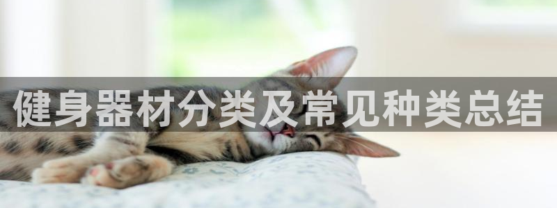 龙8国际app客户端下载不了