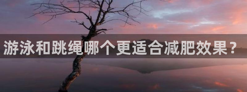 龙8国际是什么电影