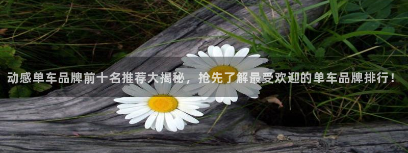 龙8国际龙8客户端