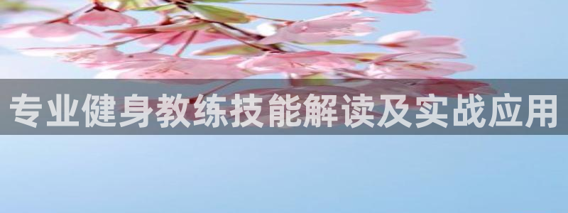 龙八国际官方网