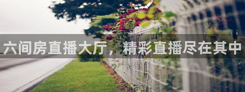 龙8国际pt网址官方