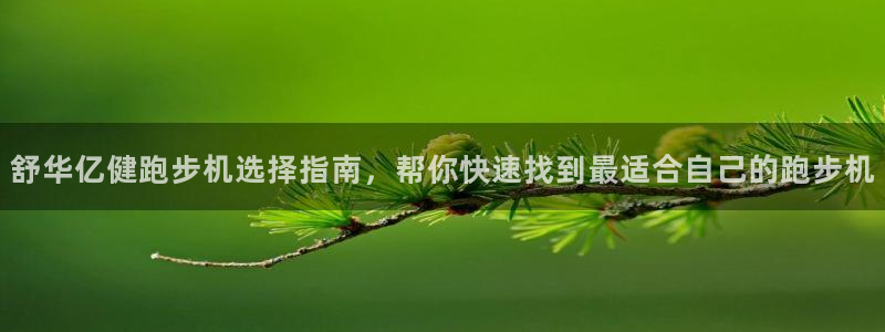 龙八国际pt