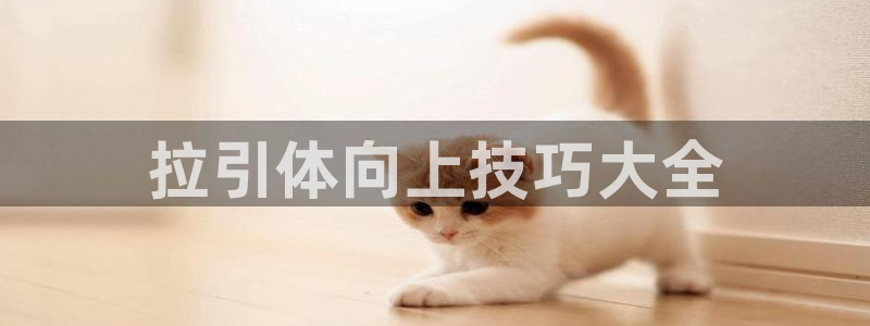 龙8国际手机游戏官网版
