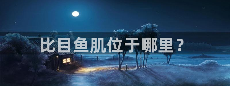 龙八国际官方网