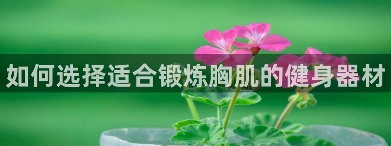 龙8国际官网app下载