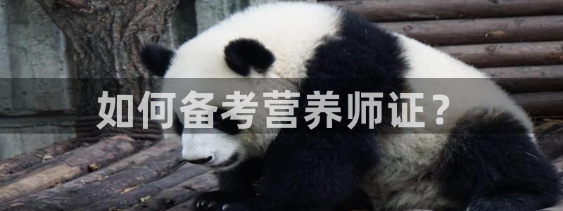 龙8国际中国唯一官方网站