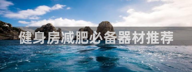 龙8国际com
