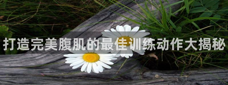 龙8国际老虎机电子