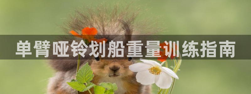龙8国际备用