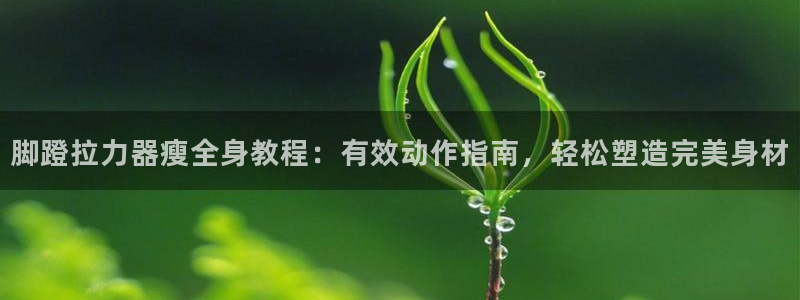 龙八国际下载链接