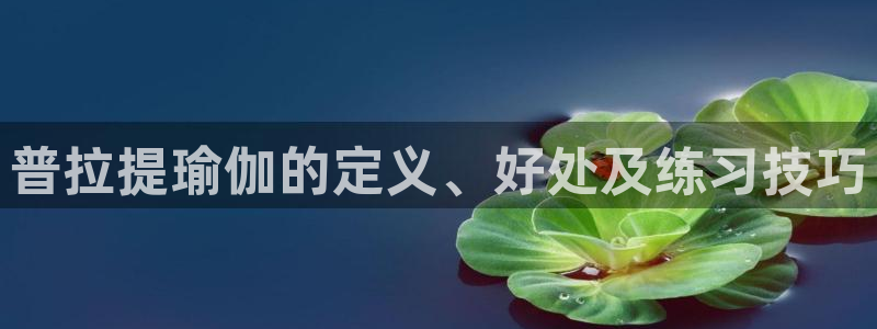 龙8国际电子游戏