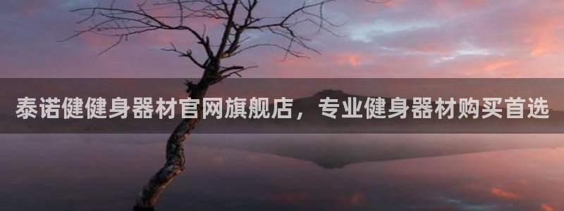 龙八国际pt